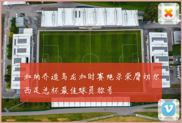 加纳乔造乌龙加时赛绝杀荣膺切尔西足总杯最佳球员称号