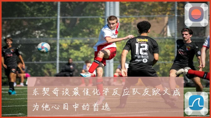 东契奇谈最佳化学反应队友欧文成为他心目中的首选