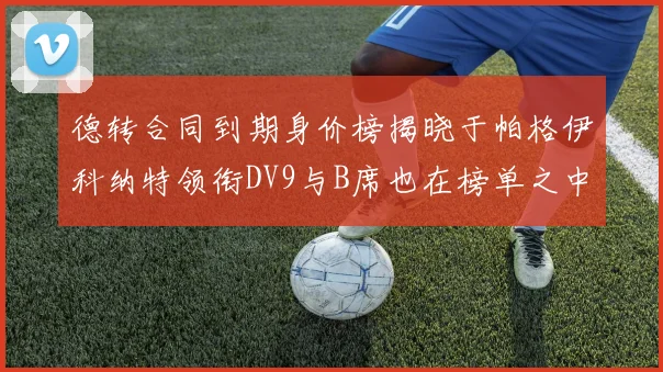 德转合同到期身价榜揭晓于帕格伊科纳特领衔DV9与B席也在榜单之中