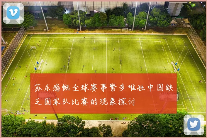 苏东感慨全球赛事繁多唯独中国缺乏国家队比赛的现象探讨