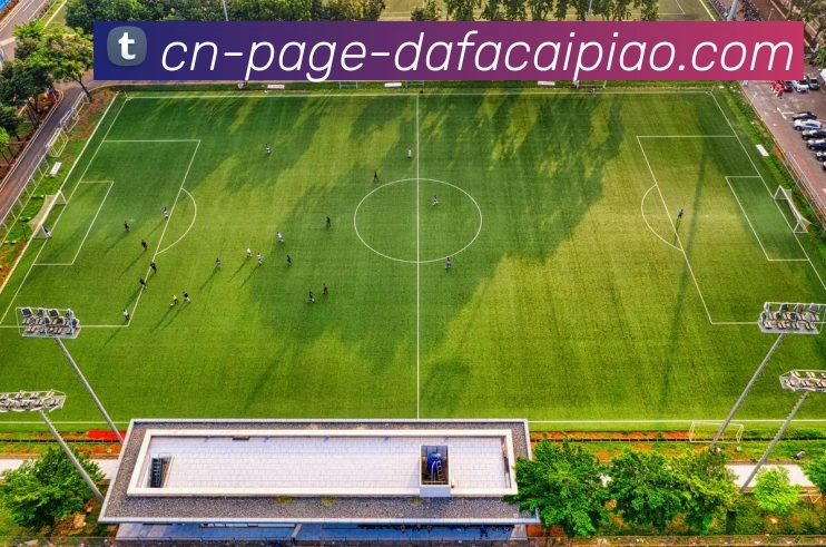 大发彩票APP 高清赛事图